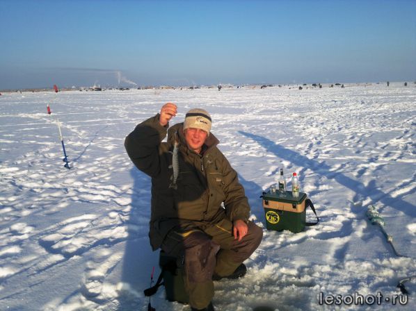 2013-01-12-1310.jpg