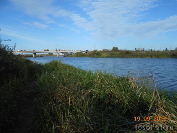 DSCN4069.JPG