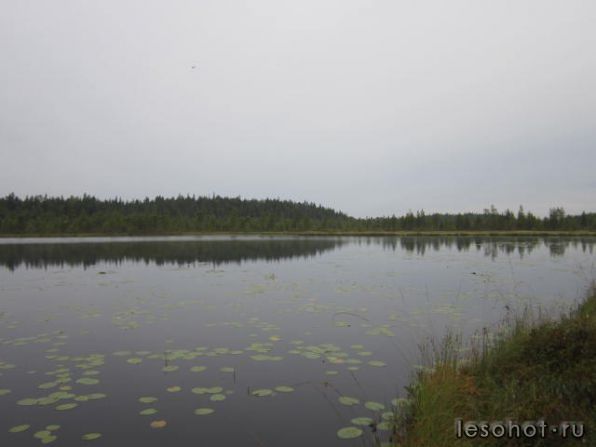 photo_00332.jpg
