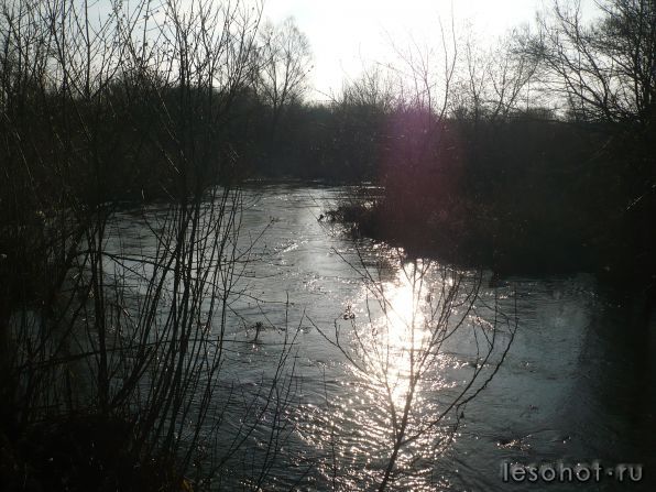 P1020863.JPG