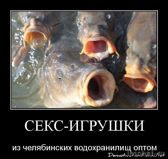 1d5f74114d48bc63d1ec7791c653bc79.jpg