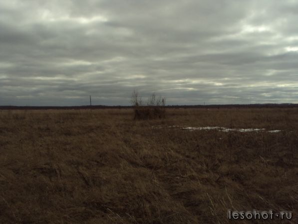 DSC01494.JPG