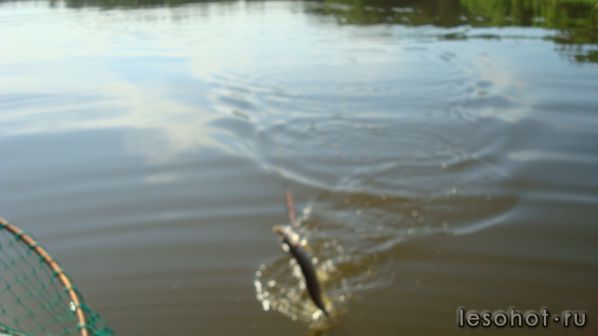 DSC04017.JPG