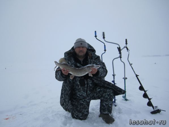 IMG_2749.jpg