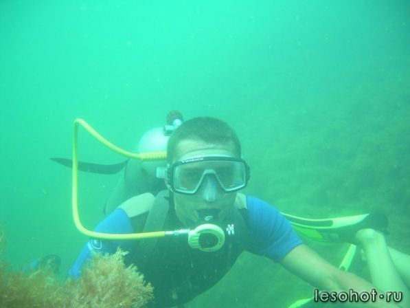 x_90828088.jpg