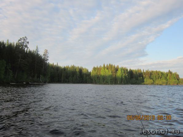 photo_00117.jpg