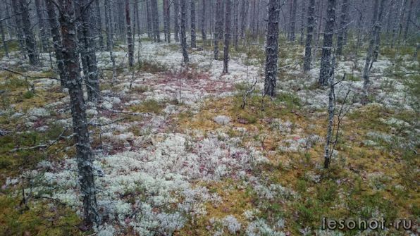photo_00111.jpg