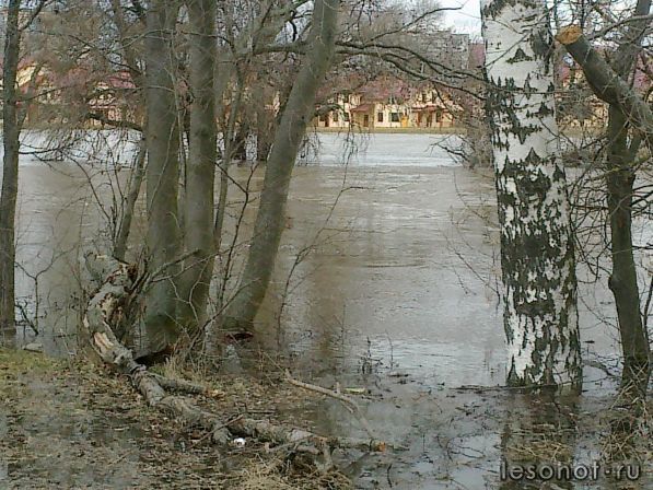 21042013436.jpg