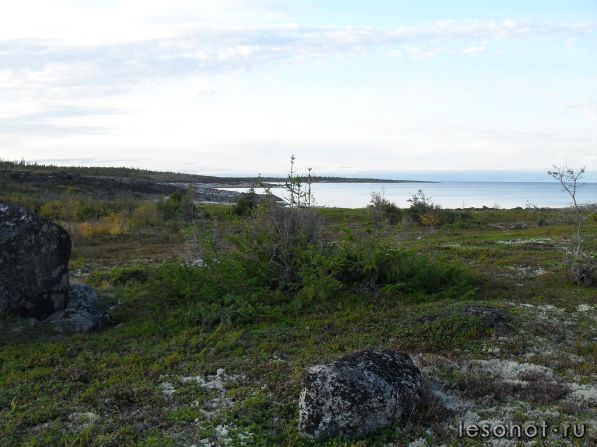 SDC10044.JPG