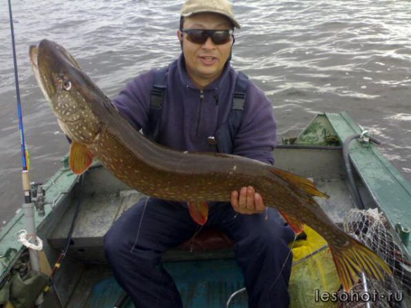 08102011001 - �����.jpg