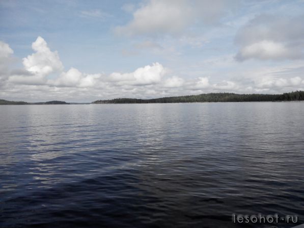 2014813122758.jpg