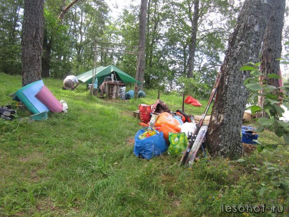 IMG_5255.JPG