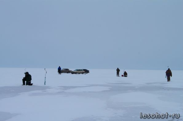 IMG_9414.jpg