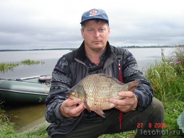  2006 
