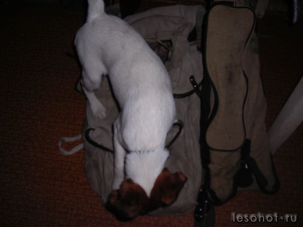 DSCN2496.JPG