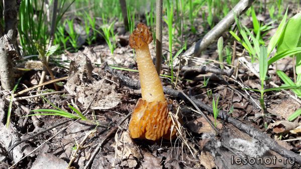20180509_101339.jpg