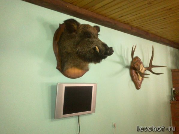   1.jpg
