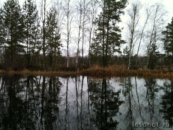 IMG_0666.jpg