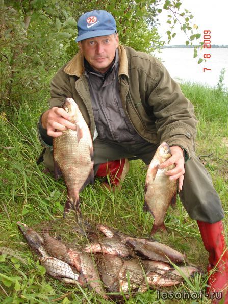  2009.