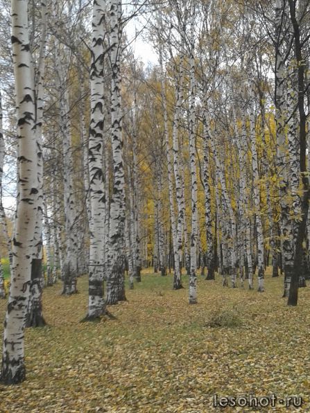 20131012_134854.jpg