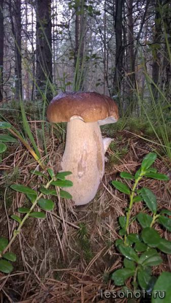 photo_00040.jpg
