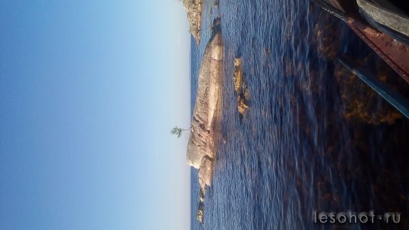 20160712_060636.jpg