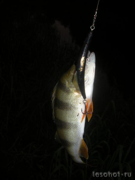 DSCN5726.JPG