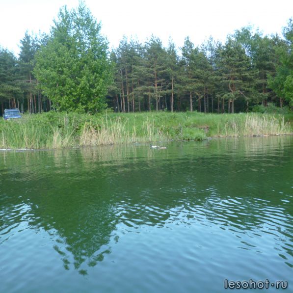 P1000323.JPG