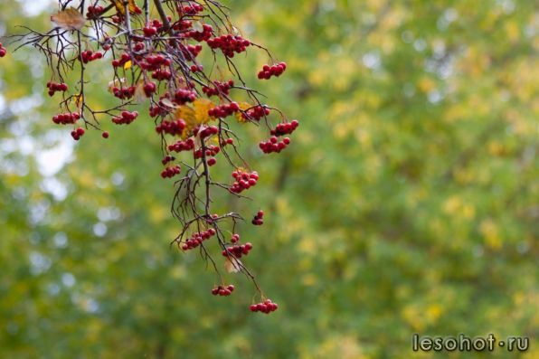 0_6c822_cf95e43_XXXL.jpg