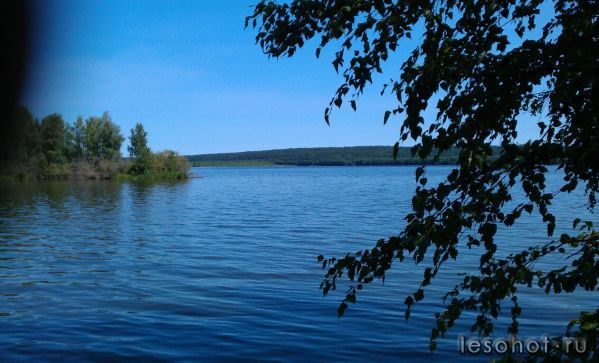 IMG_20130715_223546.jpg
