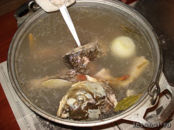 DSC08245.JPG