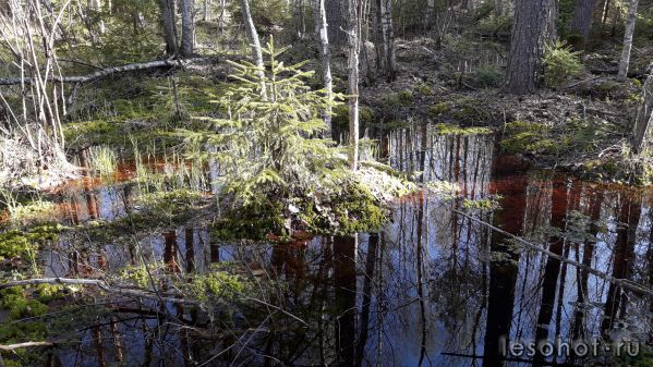 20180509_080355.jpg