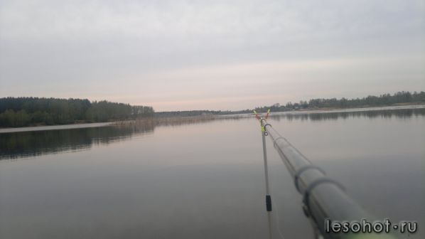 08.03.2014475.jpg