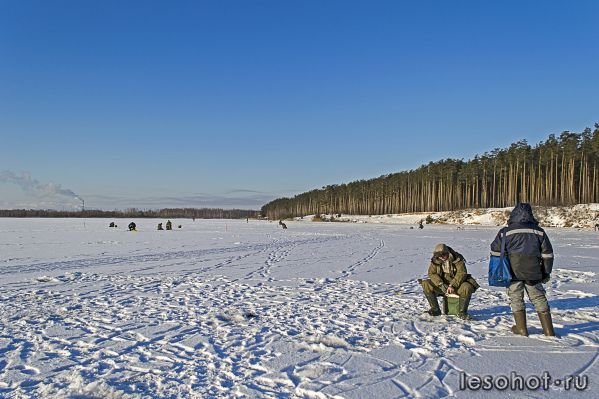 _DSC2988.jpg