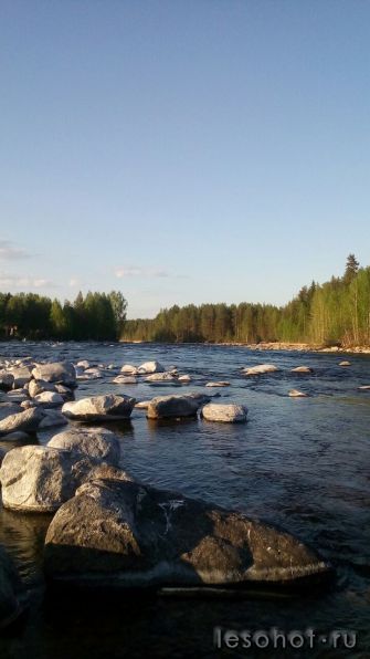 photo_00328.jpg