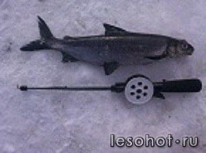 photo_00011.jpg