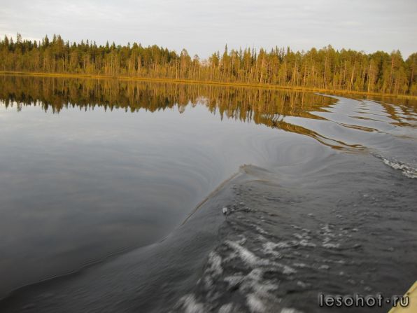 z_99514172.jpg