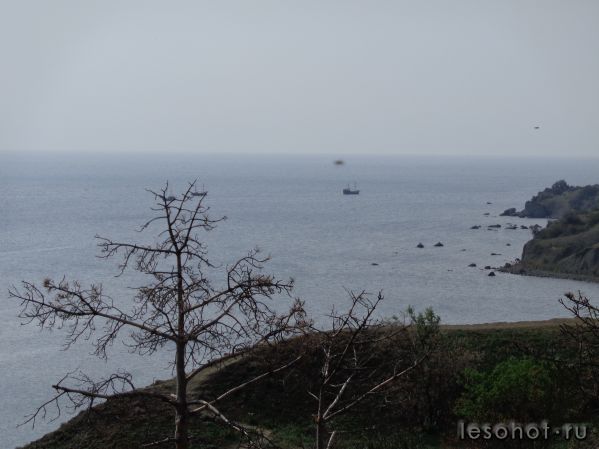 DSC00009.JPG