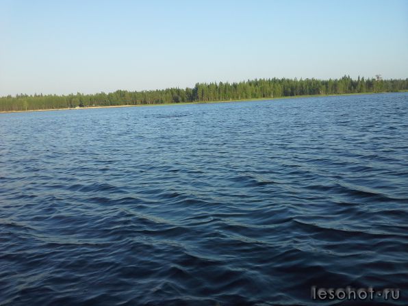 20140807_201754.jpg