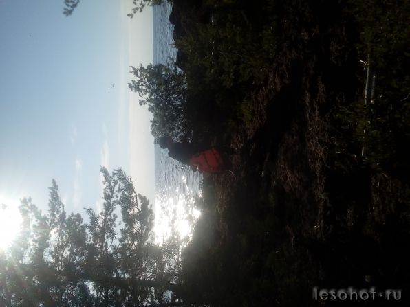 20180616_181000.jpg