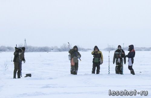 0_9654d_b1ca5134_L.jpg