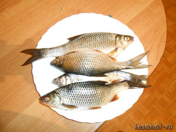 DSCN4966.JPG