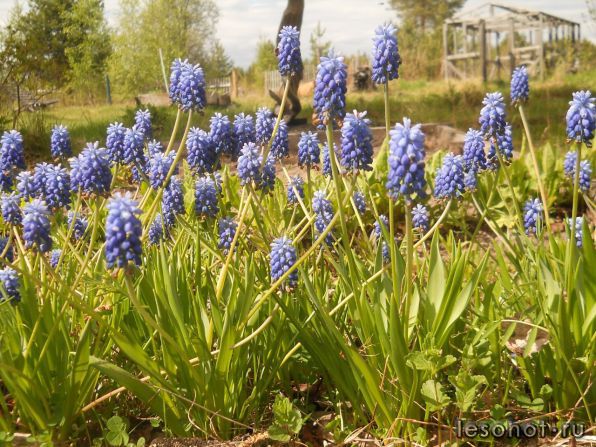 photo_00162.jpg