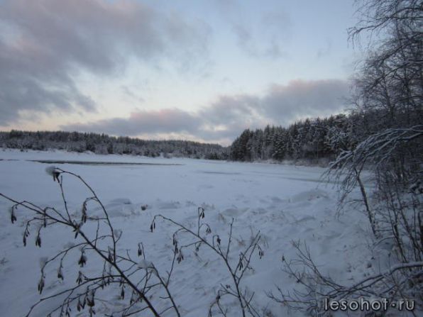 photo_00015.jpg