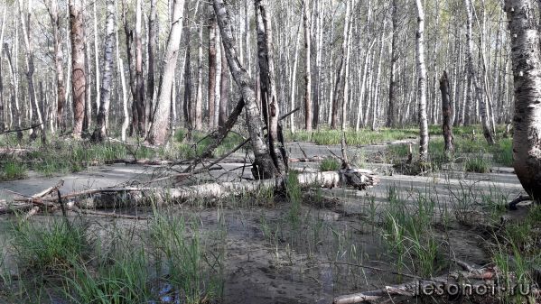 20180514_074122.jpg
