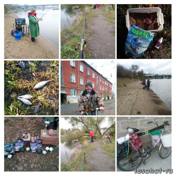 20190531_203027-COLLAGE.jpg