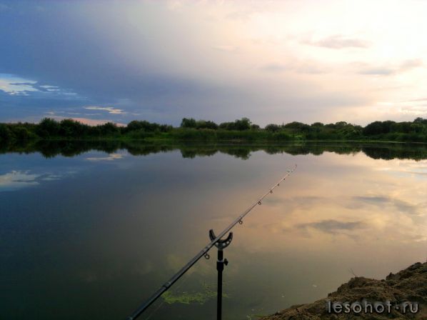 03092011216.jpg