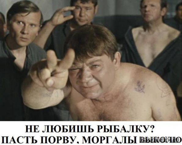 pmdipzcUrCg.jpg