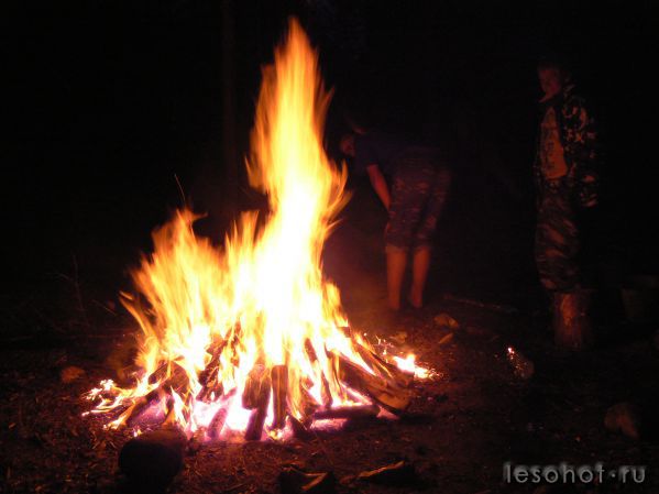 P1000878.JPG
