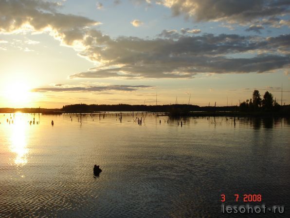  2008.